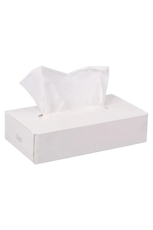 Бумажные салфетки: косметические 2сл 100листов белые Plushe Professional