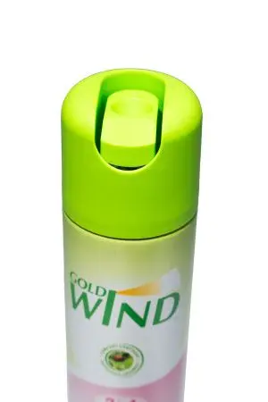 Освежители воздуха: ГОЛД ВИНД 300 мл ПОСЛЕ ДОЖДЯ