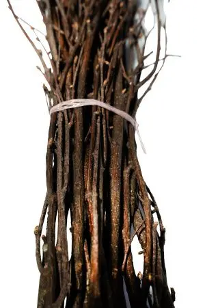 Хозяйственный инвентарь: Метла березовая