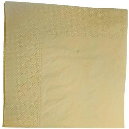 Бумажные салфетки: столовые 1сл 250листов 33х33 Сыктывкар ROSHY шампань