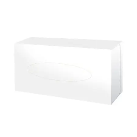 Бумажные салфетки: косметические 2сл 100листов белые Plushe Professional