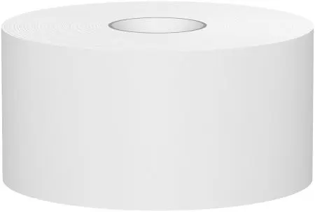 Вик: Бумага туалетная 1сл 200м макулатура светло-серая СЫКТЫВКАР Lite