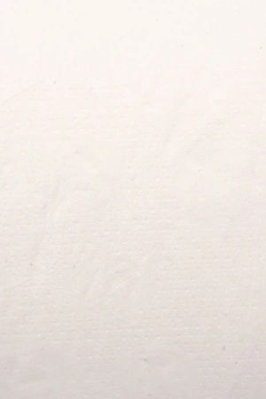 ВИК Бумага туалетная 1сл 525м целлюлоза без перф. белая PROtissue /рул.=1 шт.