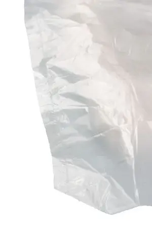 Одноразовая продукция: Пакет фасовочный 24х37см ПНД /пач.=1000 шт.