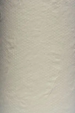 Вик: Полотенца бумажные ЦВ 1сл 120м 100% целлюлоза белые PROtissue