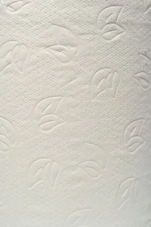 Вик: Полотенца бумажные ЦВ 2сл 150м 100% целлюлоза с перфорацией PROtissue