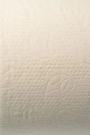 Вик: Бумага туалетная 2сл 170м белая PROtissue Эконом