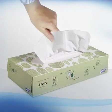 Kimberly-Clark: Салфетки Клинекс 2сл 100л для лица белые