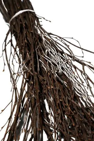 Хозяйственный инвентарь: Метла березовая