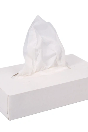 Бумажные салфетки: косметические 2сл 100листов белые Plushe Professional