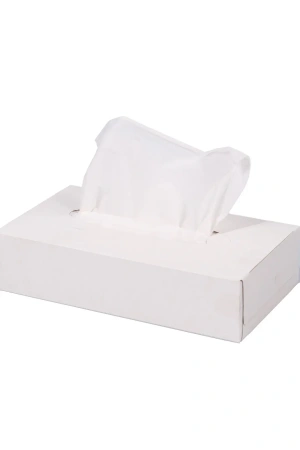 Бумажные салфетки: косметические 2сл 100листов белые Plushe Professional