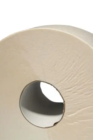 Вик: Бумага туалетная 2сл 170м белая PROtissue Эконом